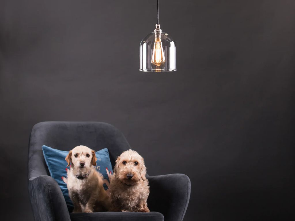 Glow Lighting: British Design Meets Kiwi Homes