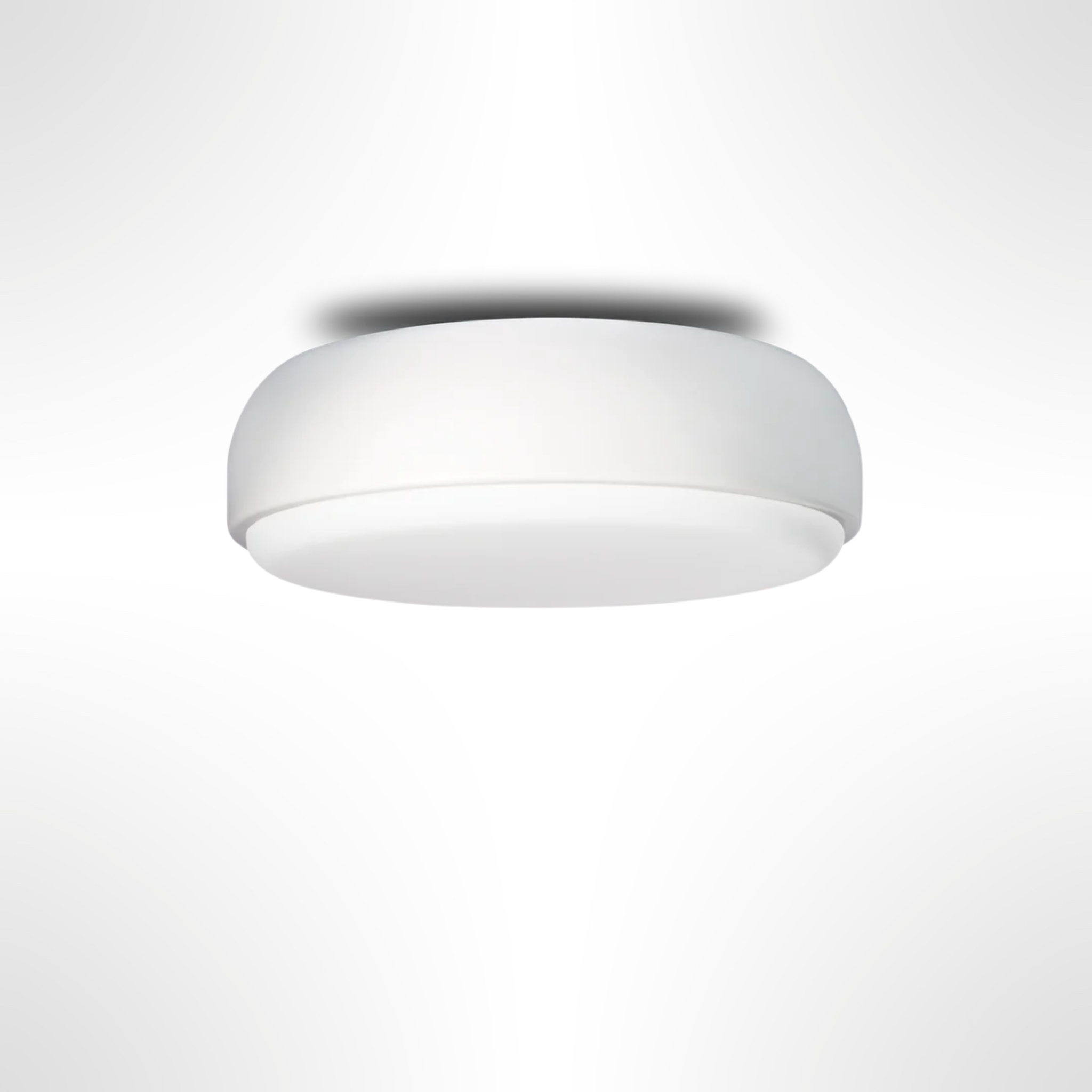 Over Me Wall/Ceiling Light