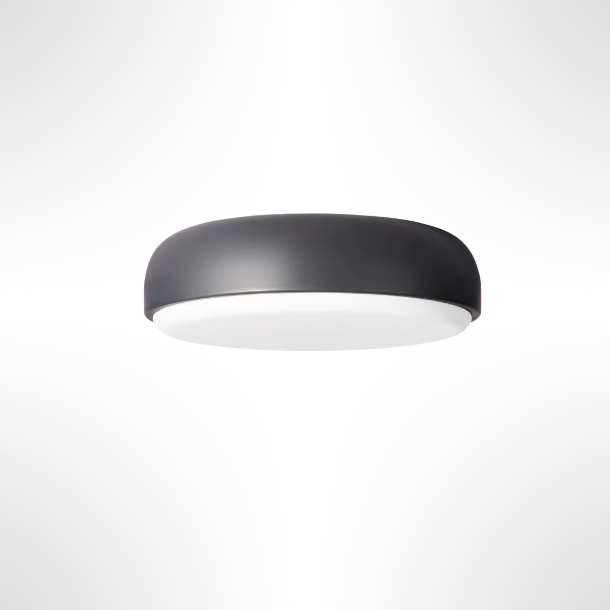 Over Me Wall/Ceiling Light
