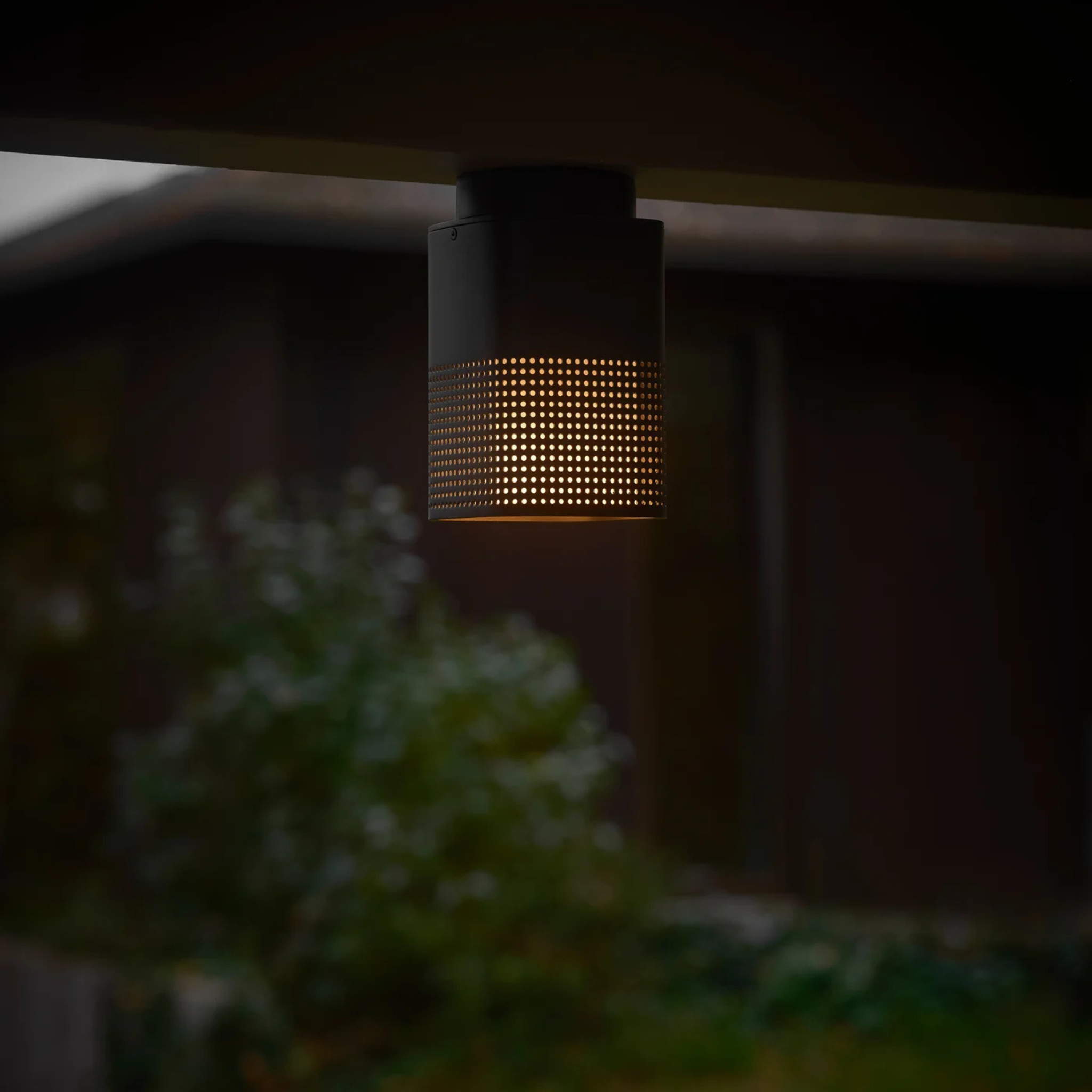 Sidara Ceiling Light
