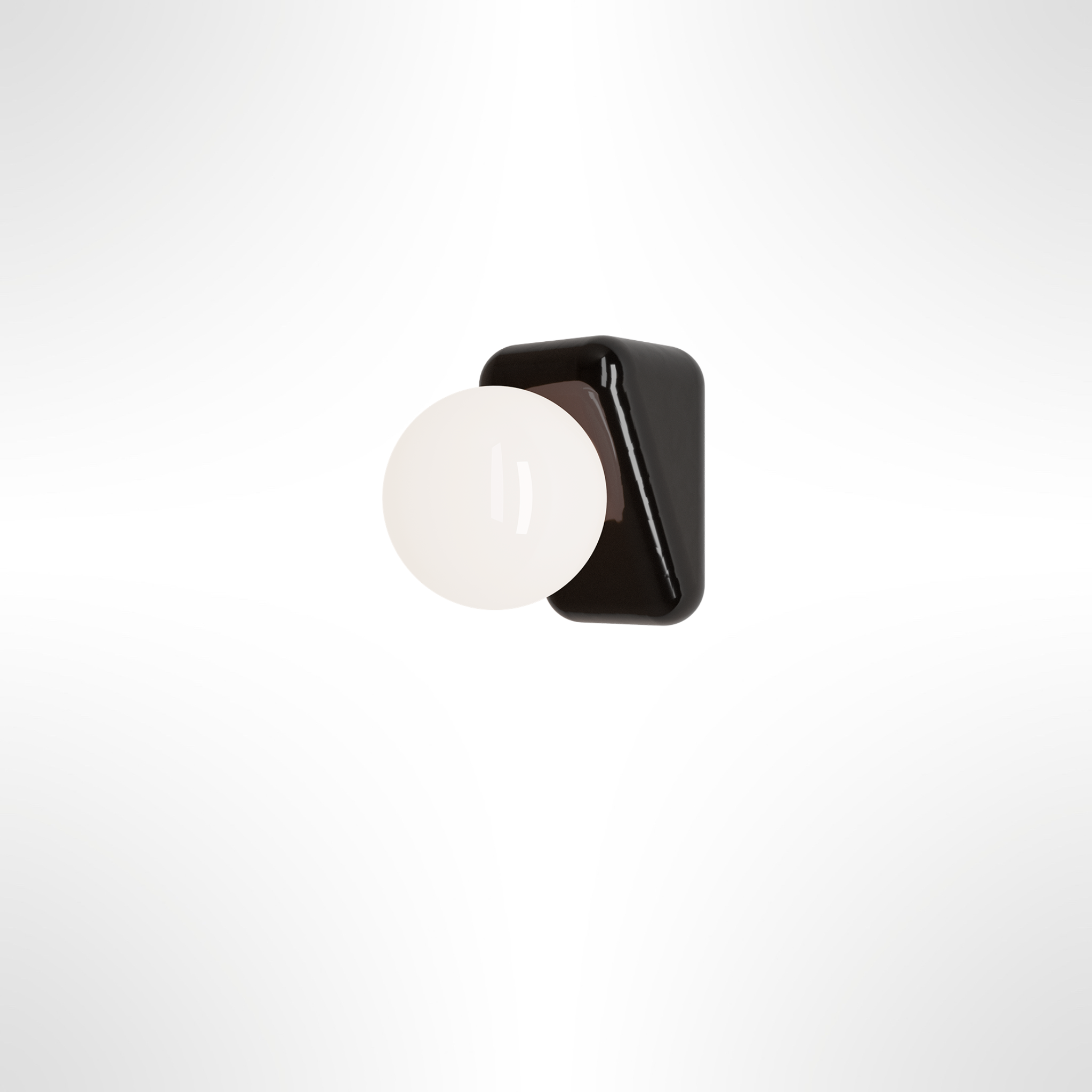Flip Wall Light