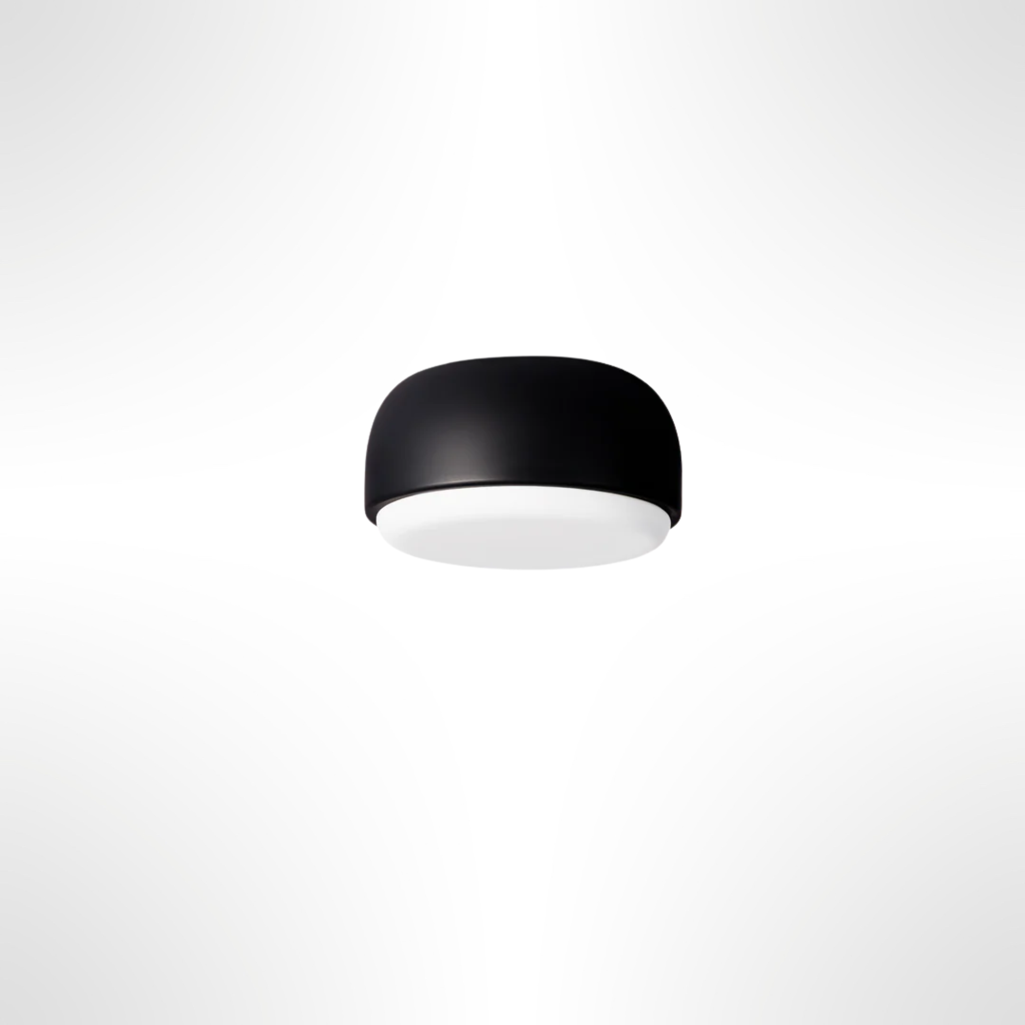Over Me Wall/Ceiling Light