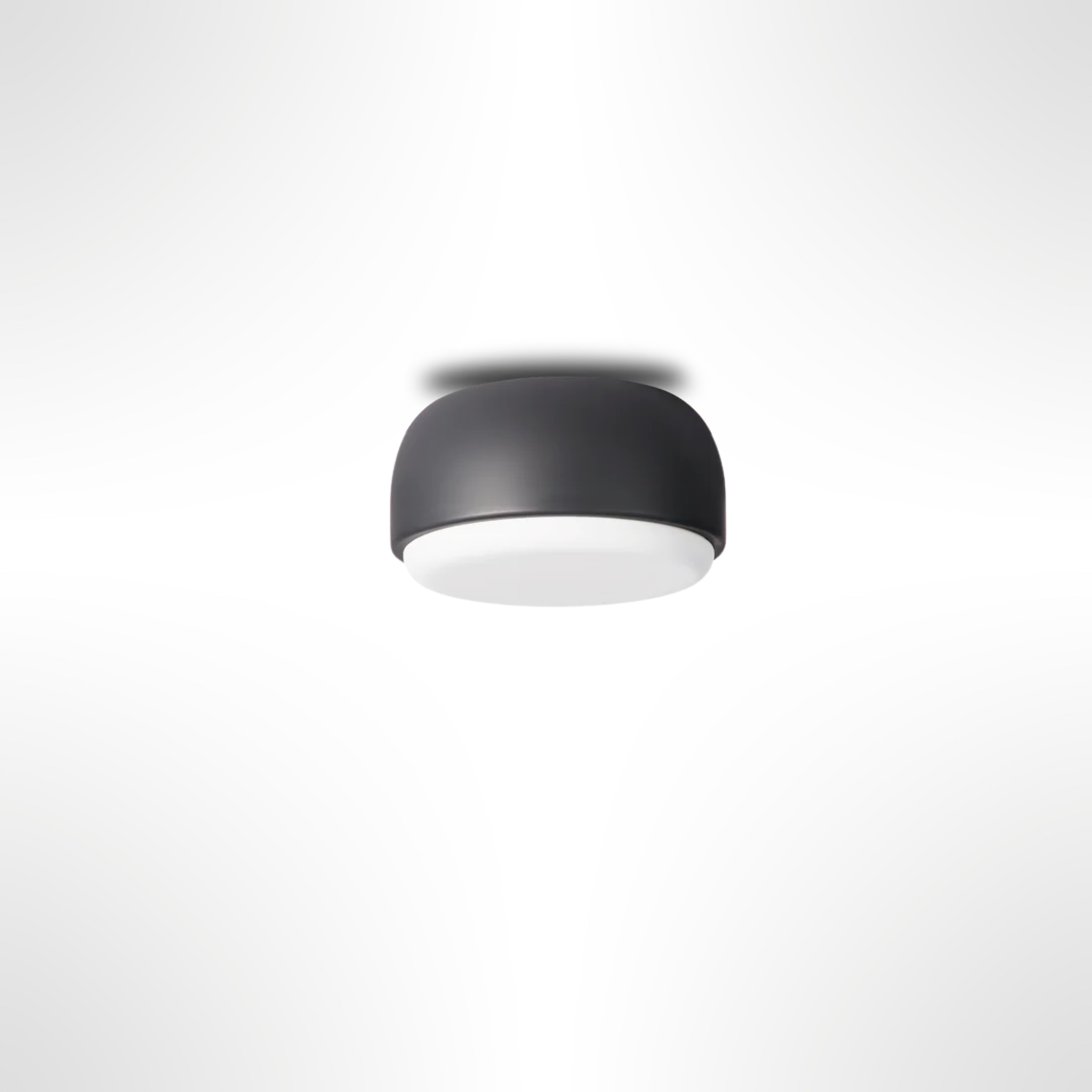Over Me Wall/Ceiling Light