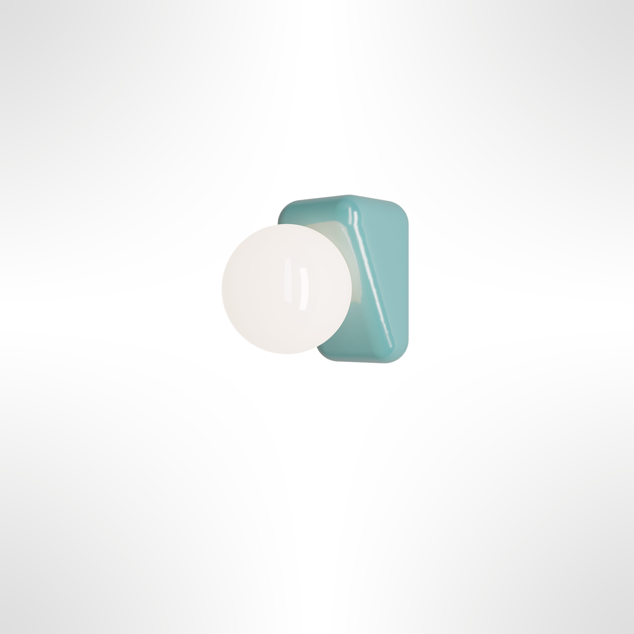 Flip Wall Light