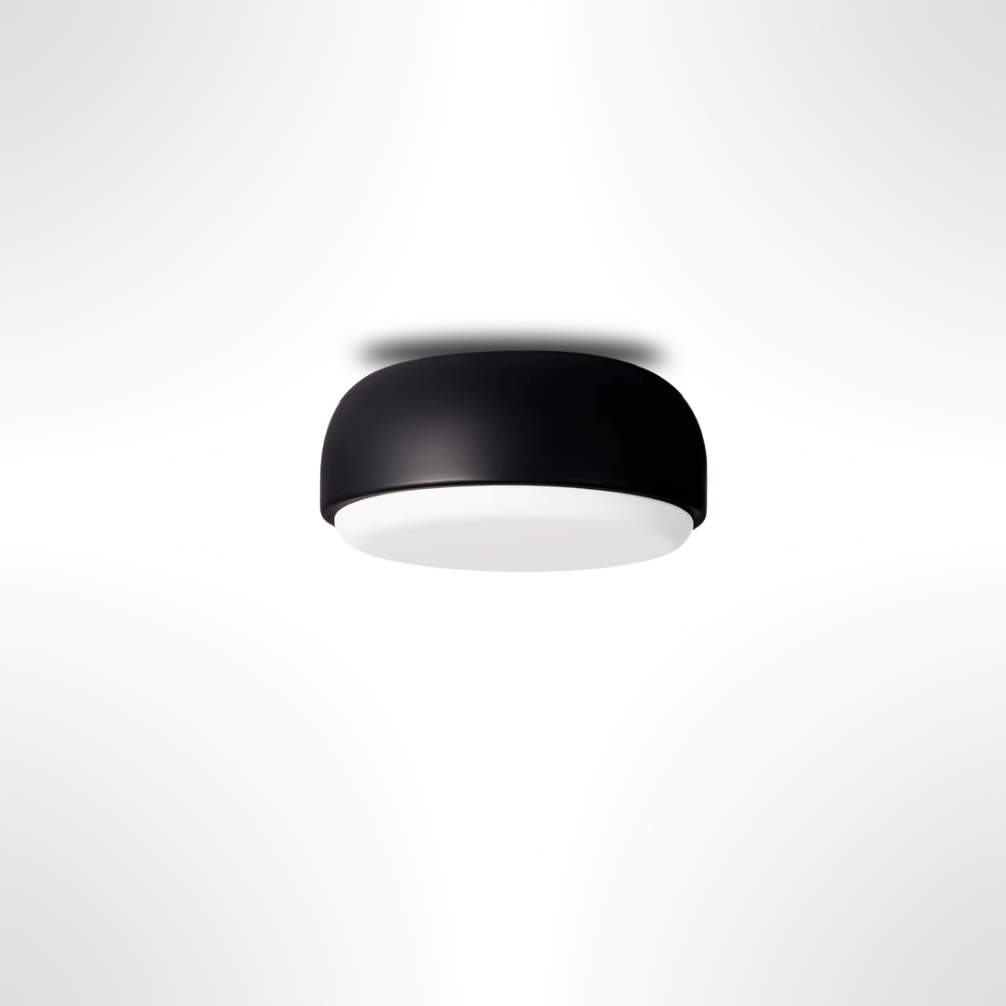 Over Me Wall/Ceiling Light