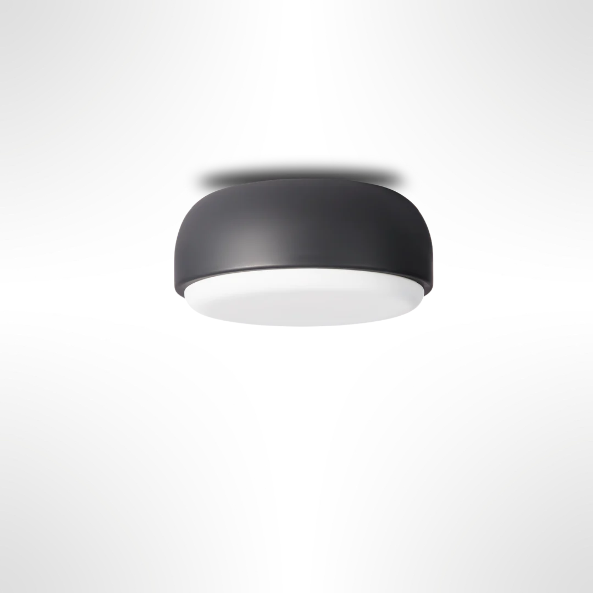 Over Me Wall/Ceiling Light