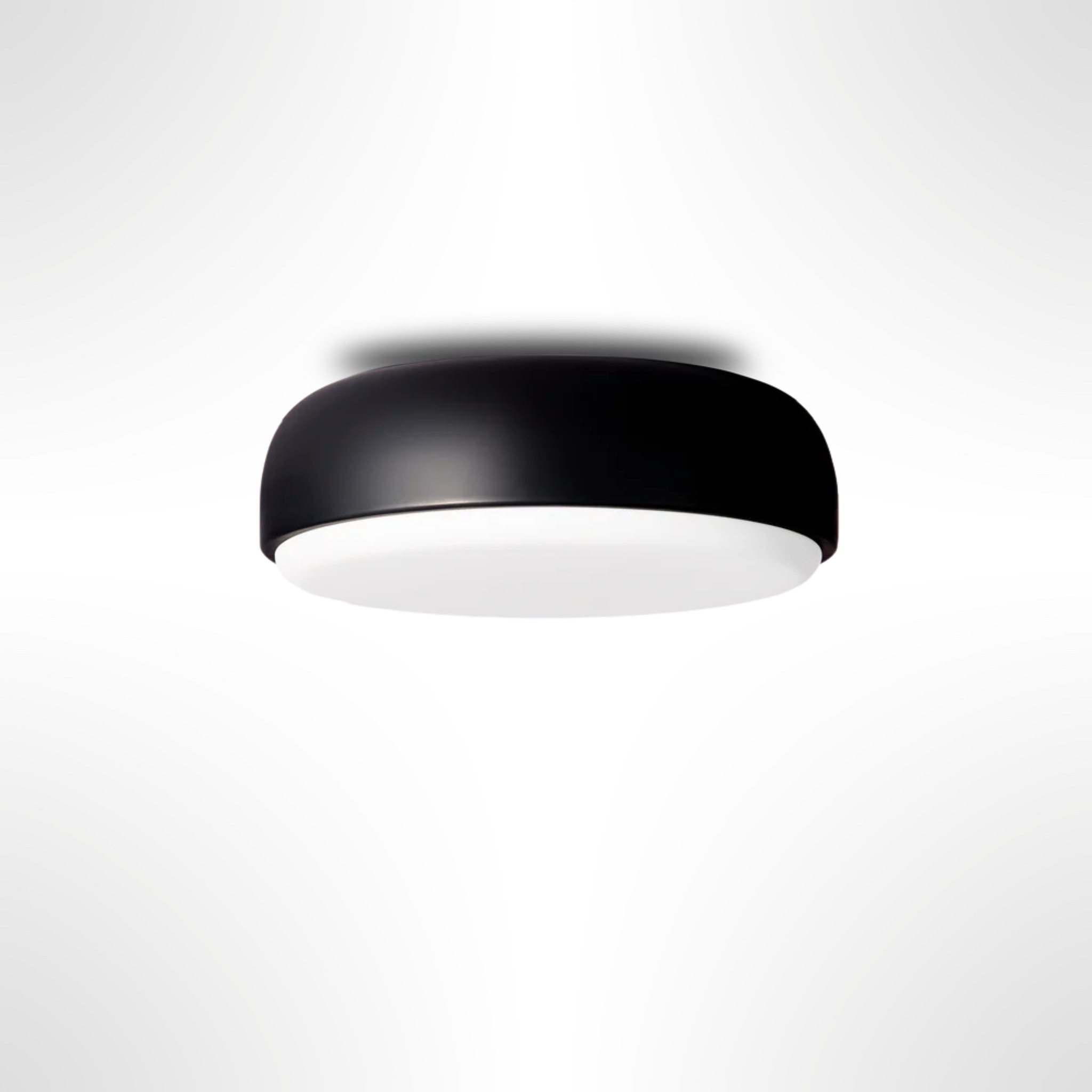 Over Me Wall/Ceiling Light