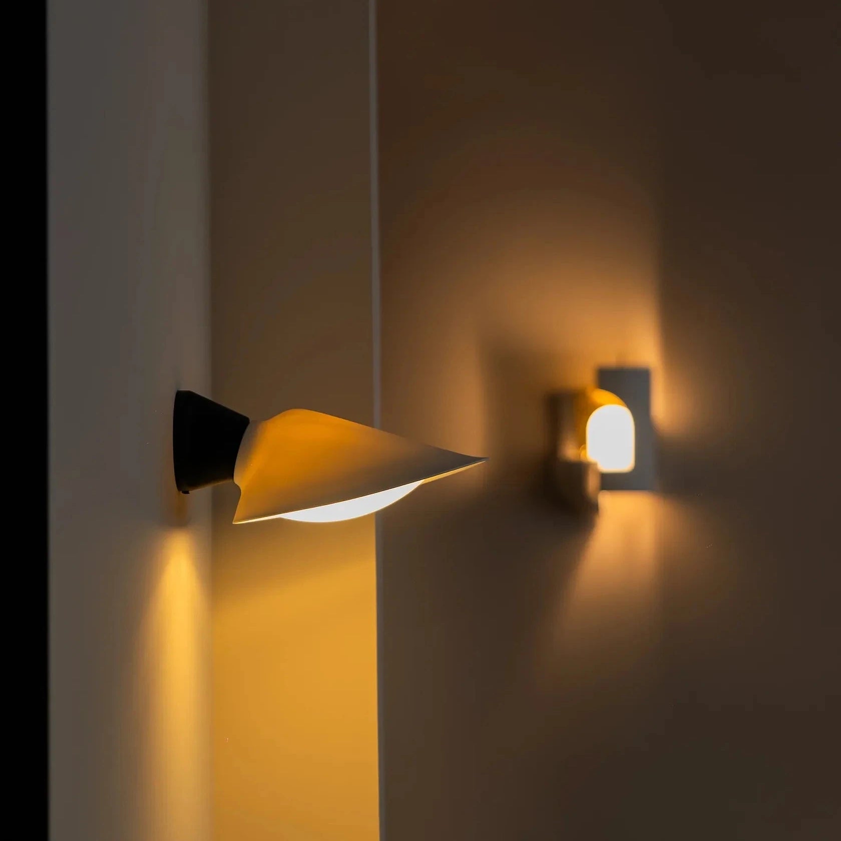 Plume Wall Light