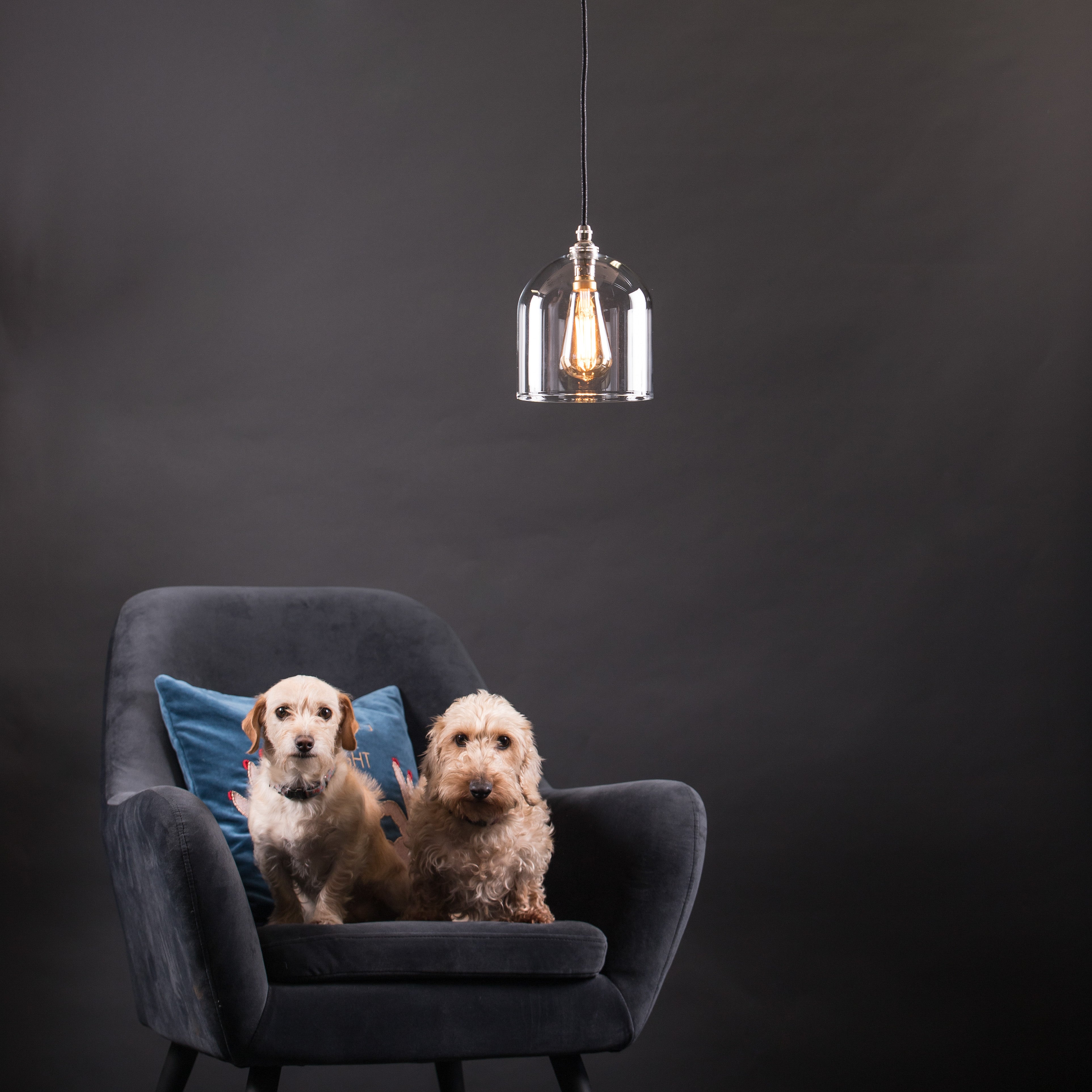Frieda Glass Pendant - Clear