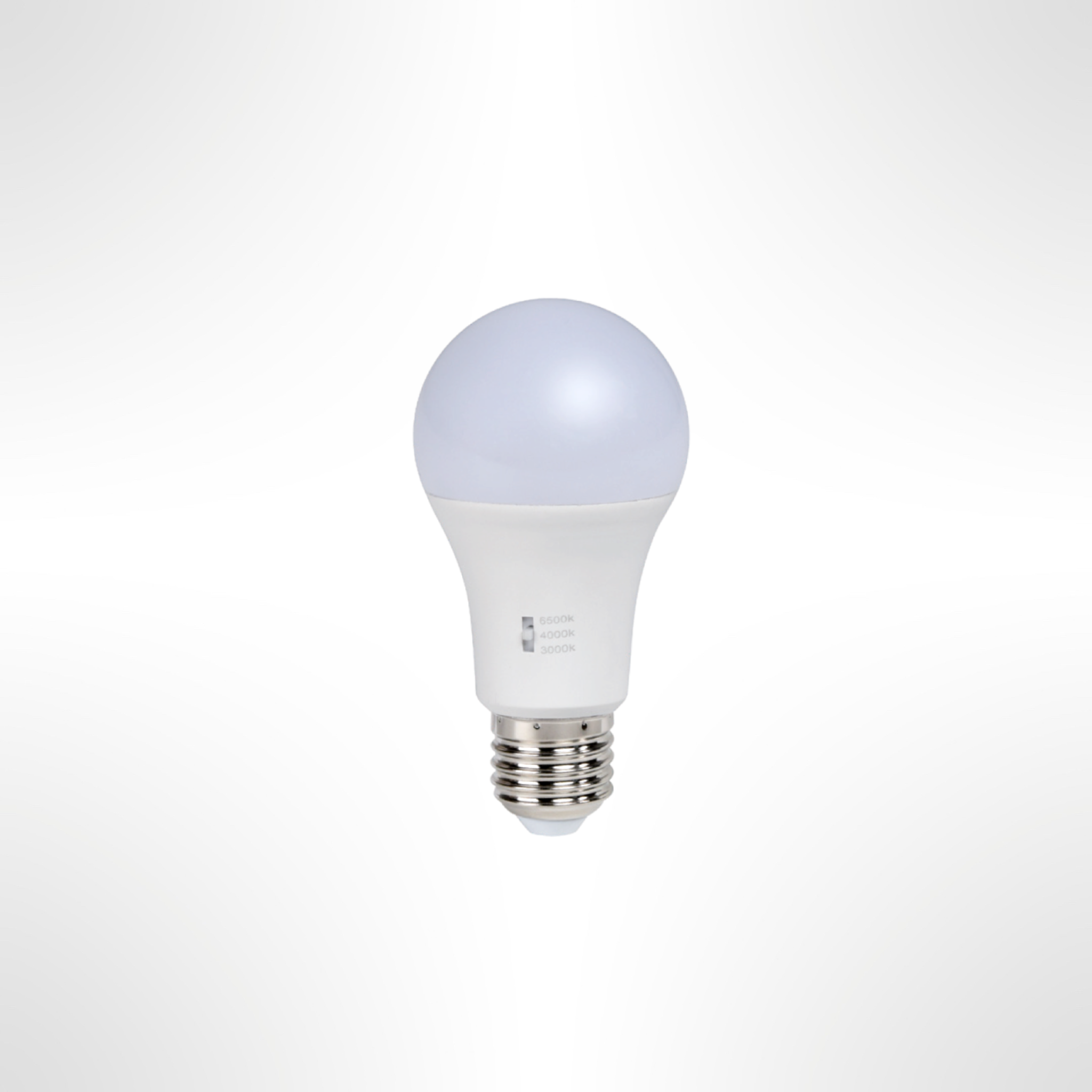 A60 Frosted LED Bulb