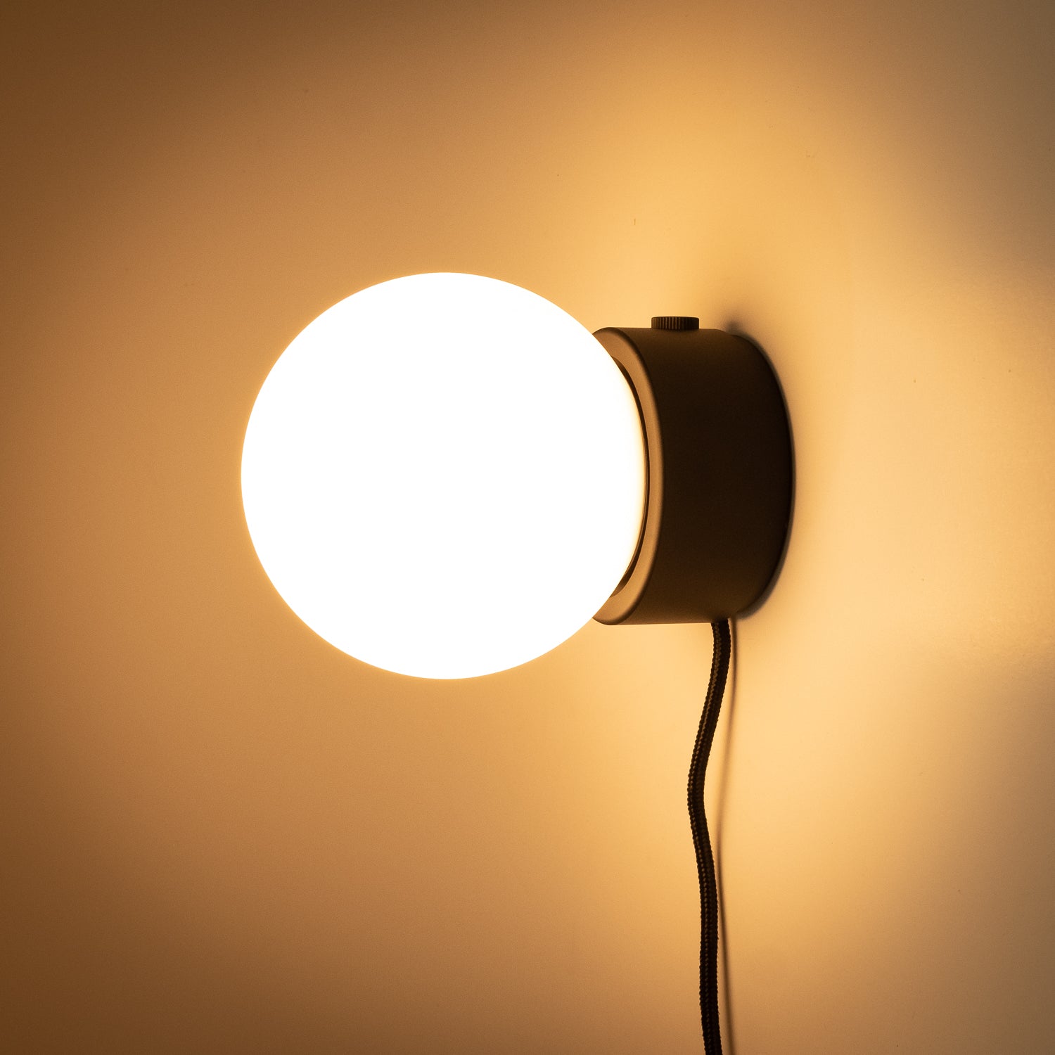 Bebe Wall Light