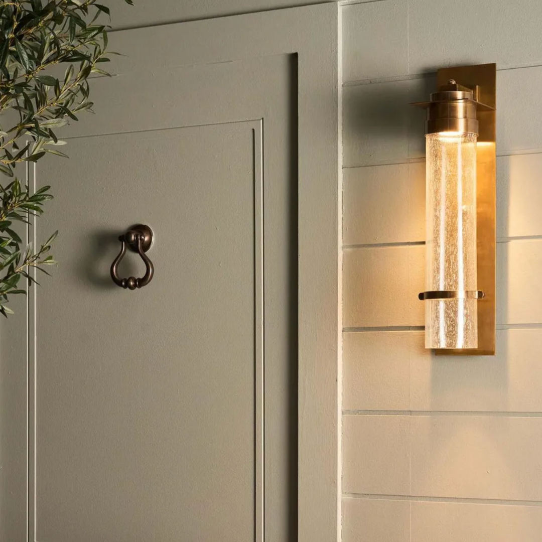 Wall-mounted brass outdoor light fixture on a gray door with a plant to the left.