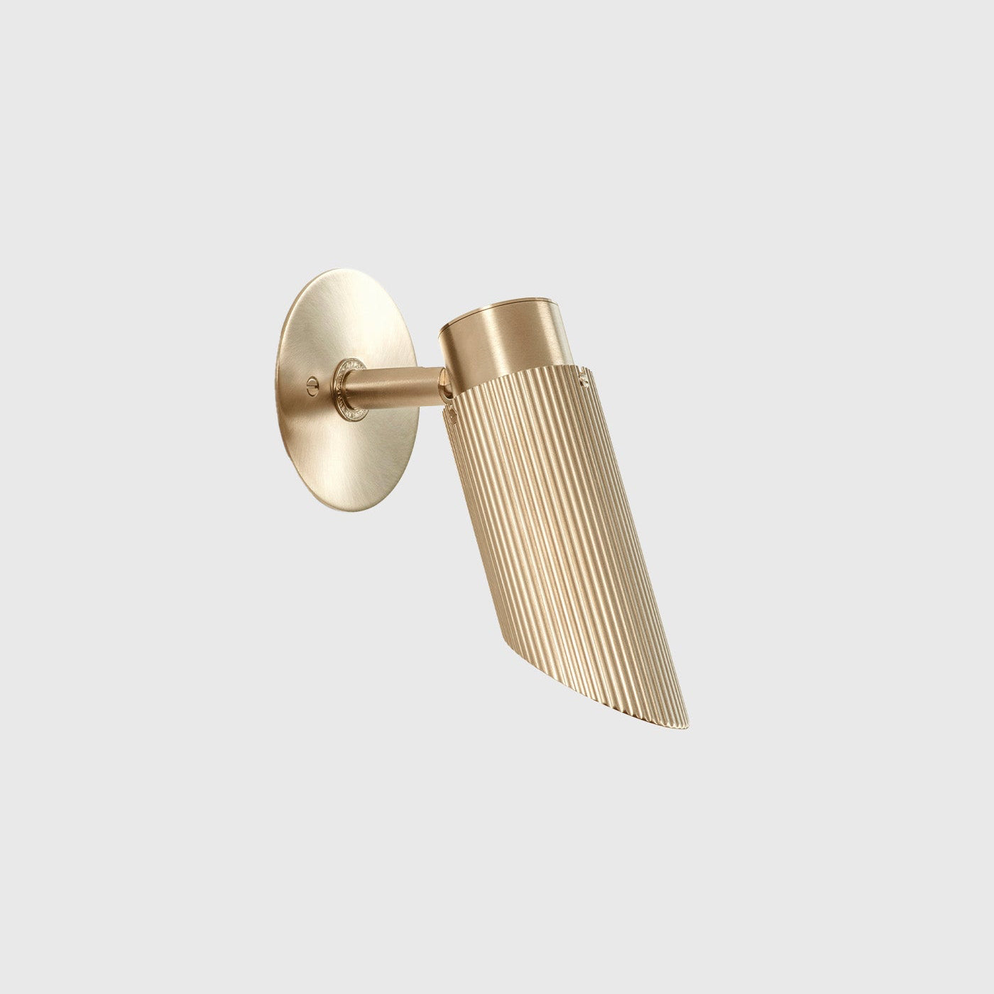 Spot Pro Adjustable Wall/Ceiling Light