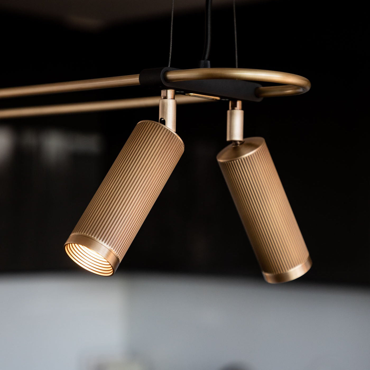 Spot 6lt Pendant Light
