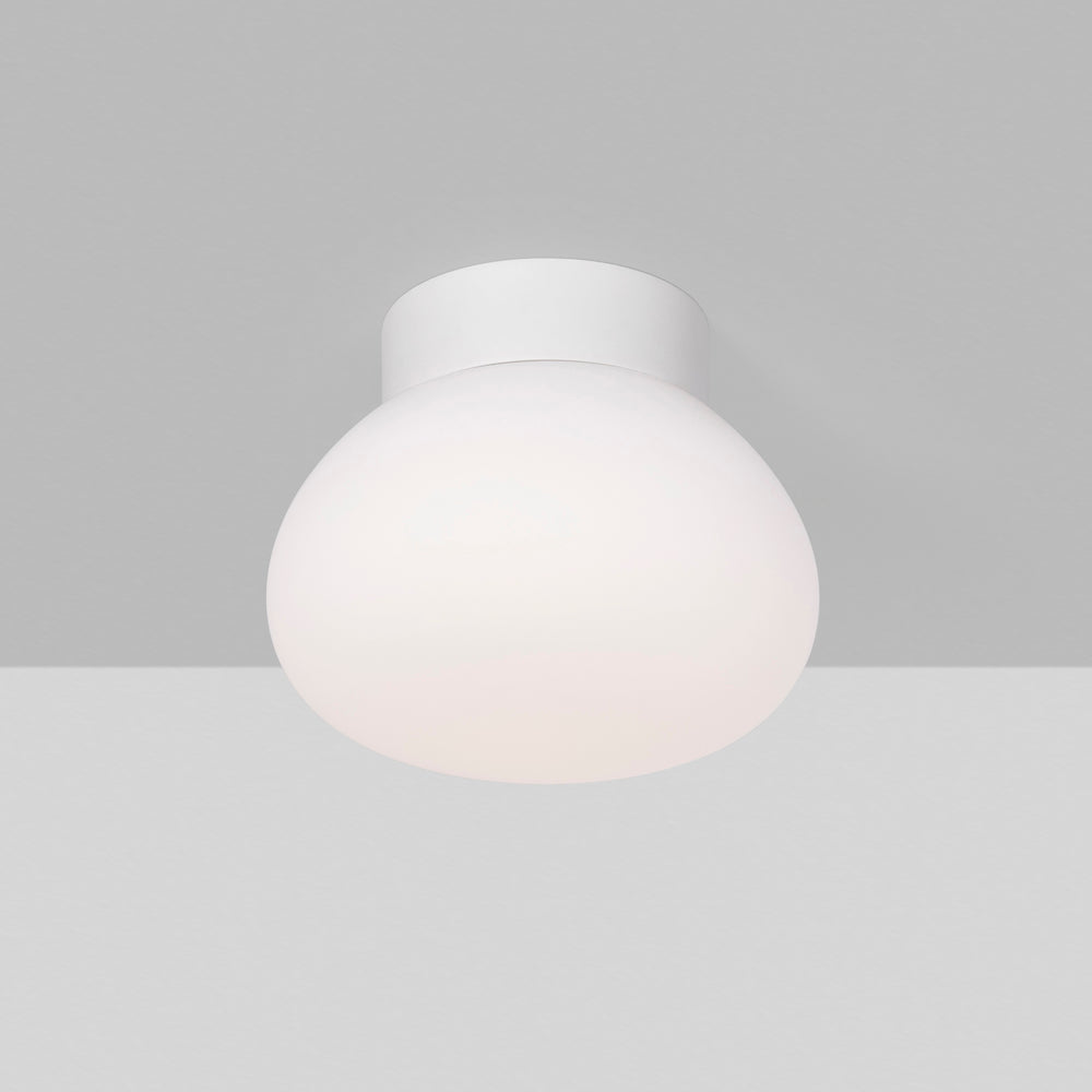 Egg Wall / Ceiling Light