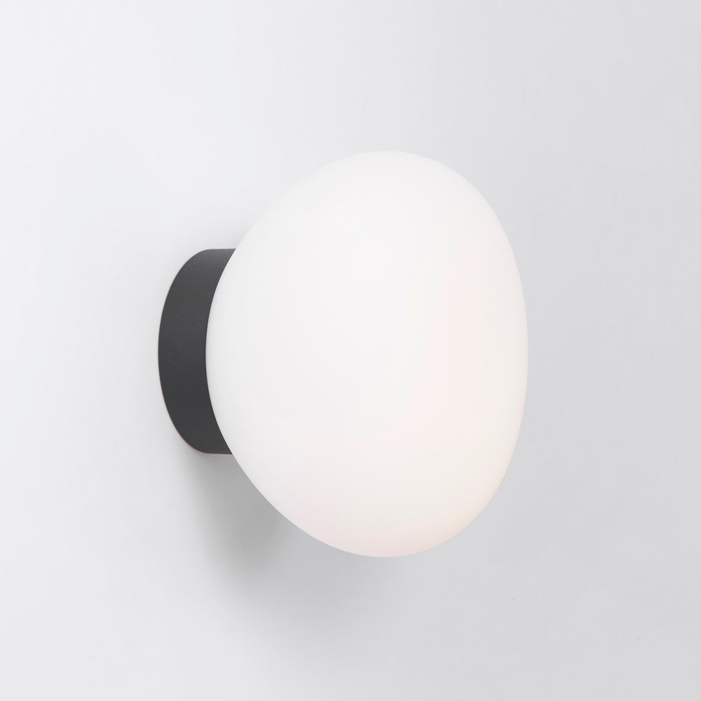 Egg Wall / Ceiling Light