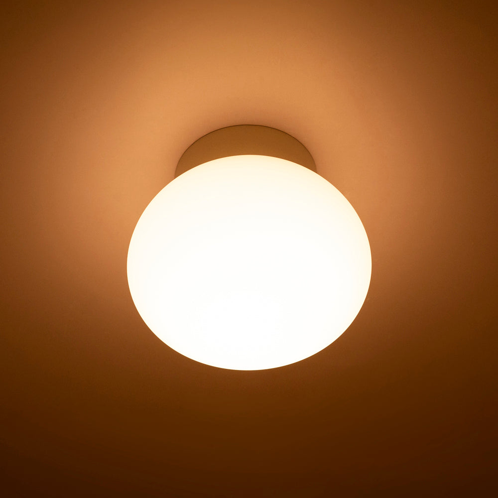 Egg Wall / Ceiling Light