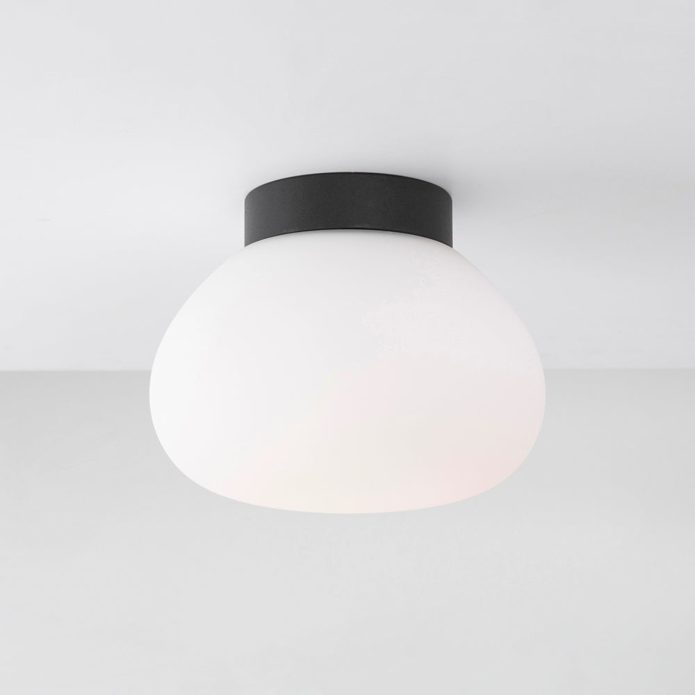 Egg Wall / Ceiling Light