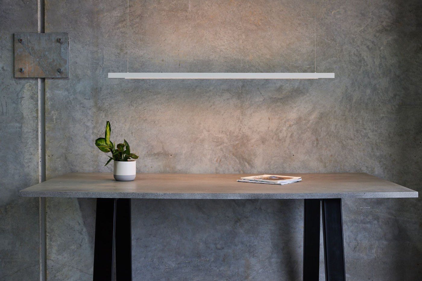 Linear White LED Pendant from Social Light