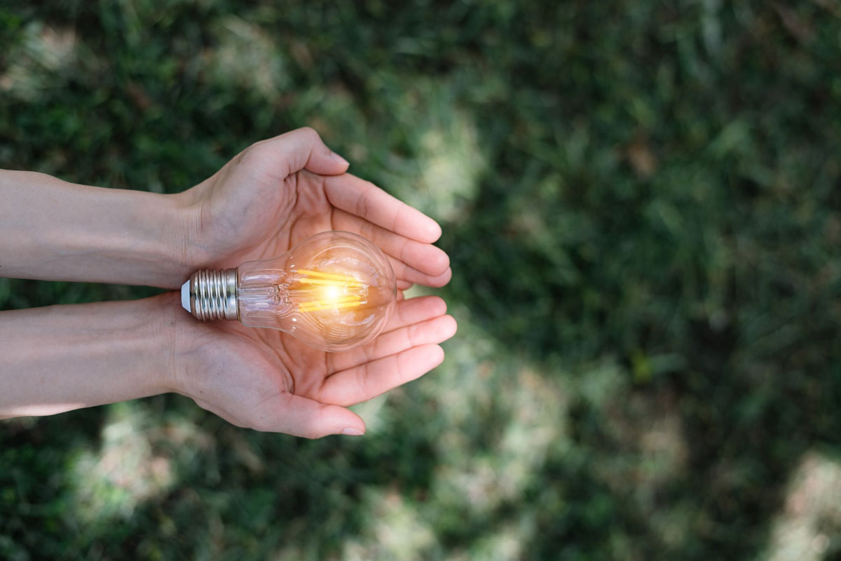Light We Use 7 Ways to Maximise Light Sustainability in Your Home