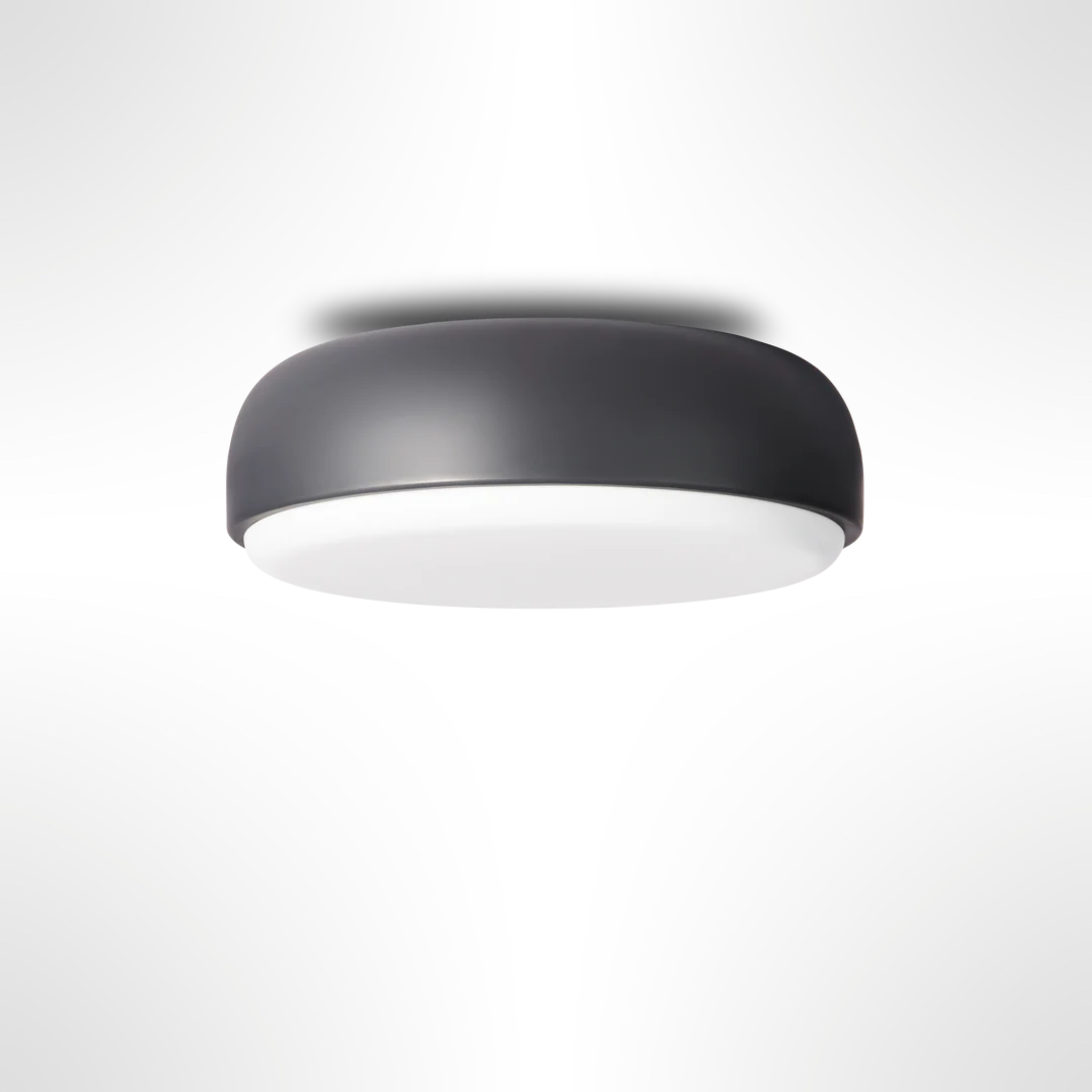 Over Me Wall/Ceiling Light