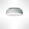 Over Me Wall/Ceiling Light