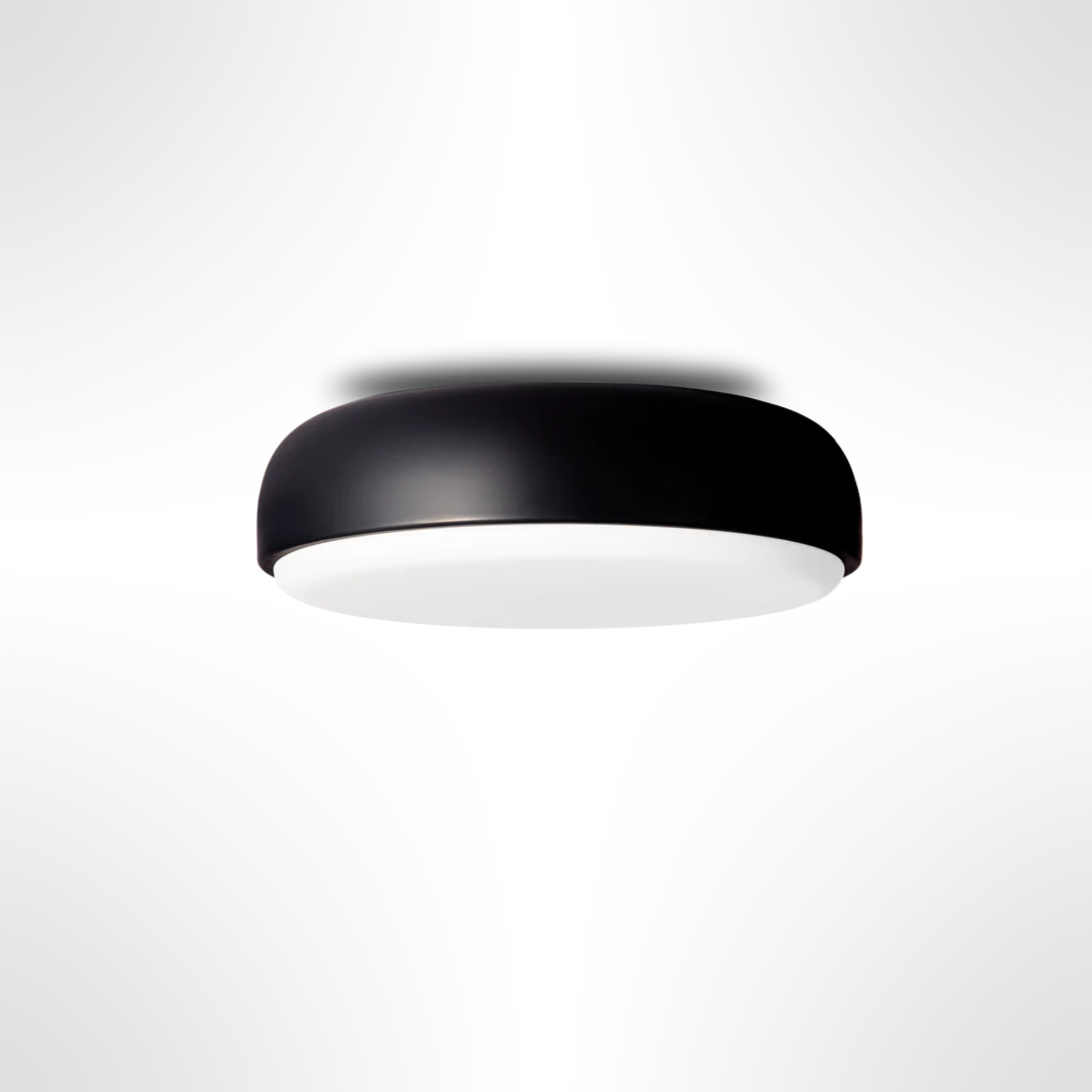 Over Me Wall/Ceiling Light