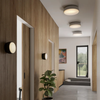 Over Me Wall/Ceiling Light