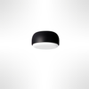 Over Me Wall/Ceiling Light
