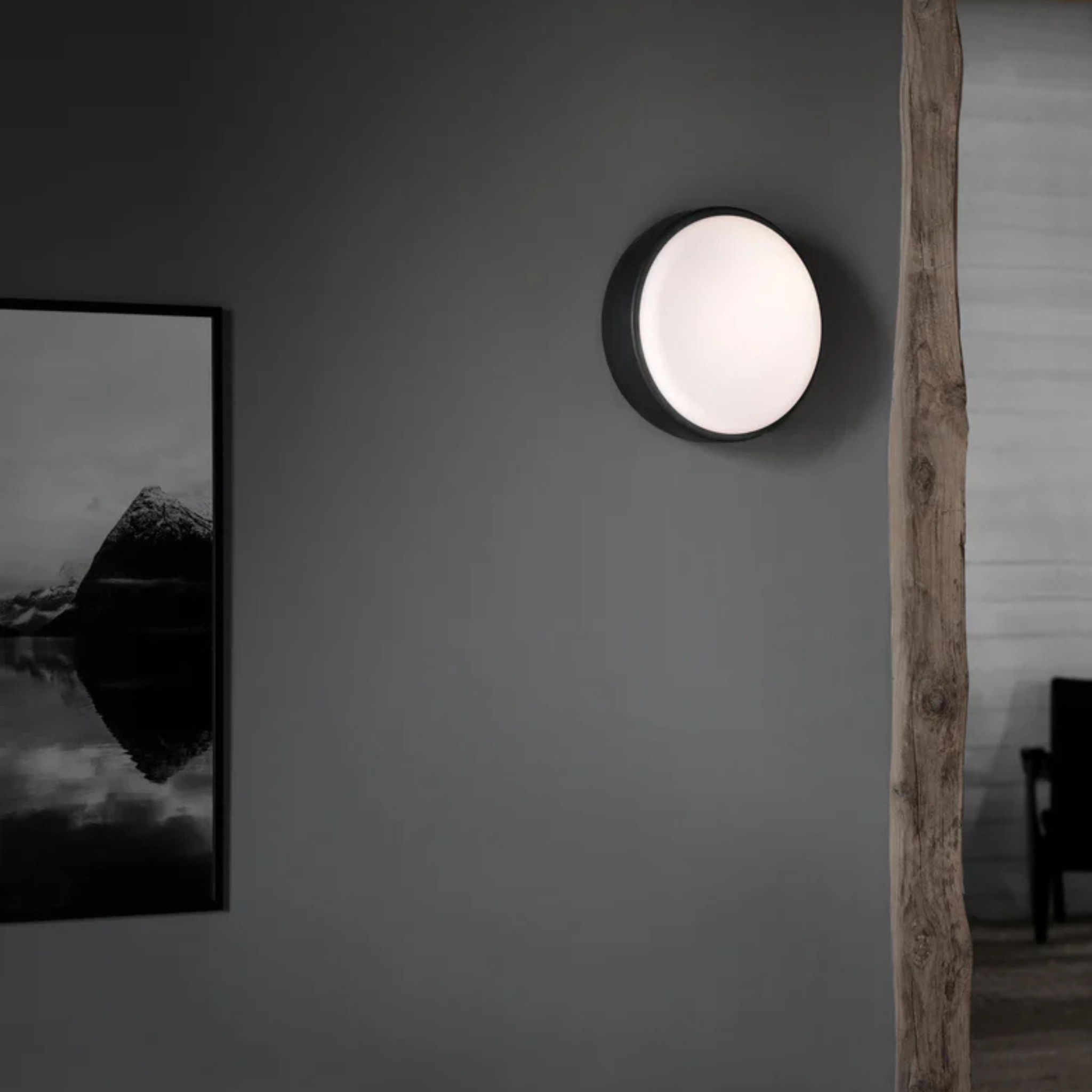 Over Me Wall/Ceiling Light