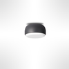 Over Me Wall/Ceiling Light