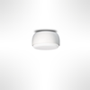 Over Me Wall/Ceiling Light