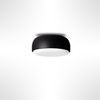 Over Me Wall/Ceiling Light