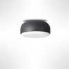 Over Me Wall/Ceiling Light