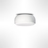 Over Me Wall/Ceiling Light