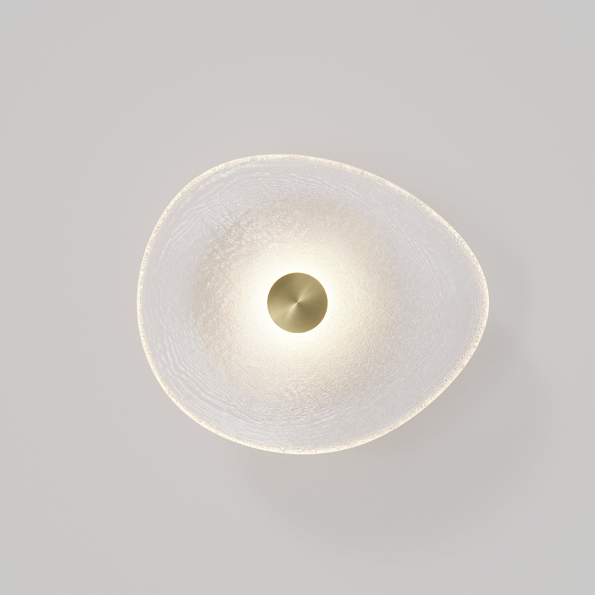 Coral Organic Wall Light