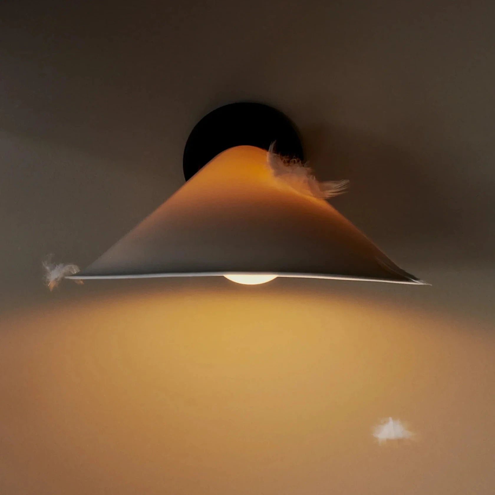 Plume Wall Light