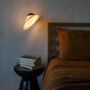 Plume Wall Light