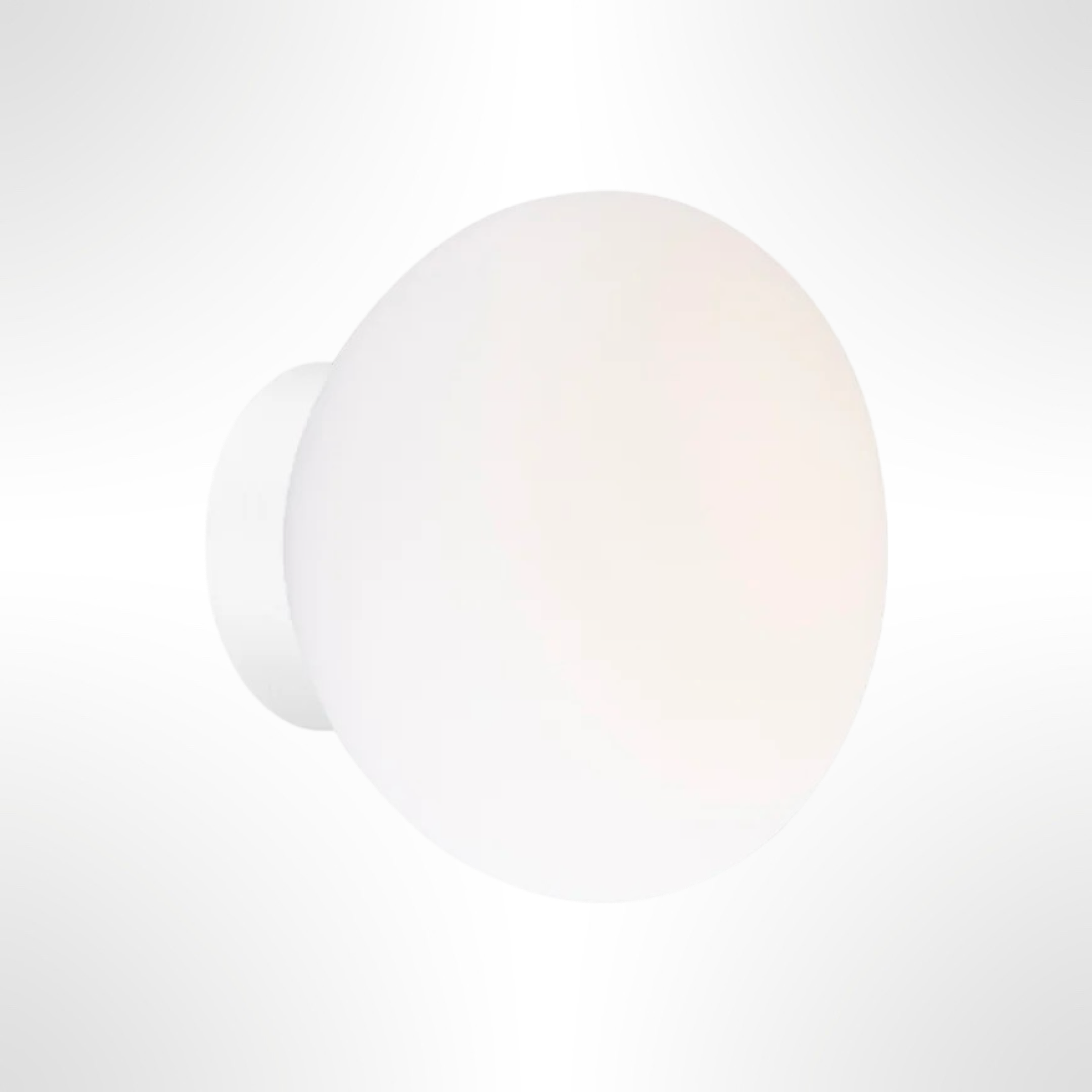 Egg Wall / Ceiling Light