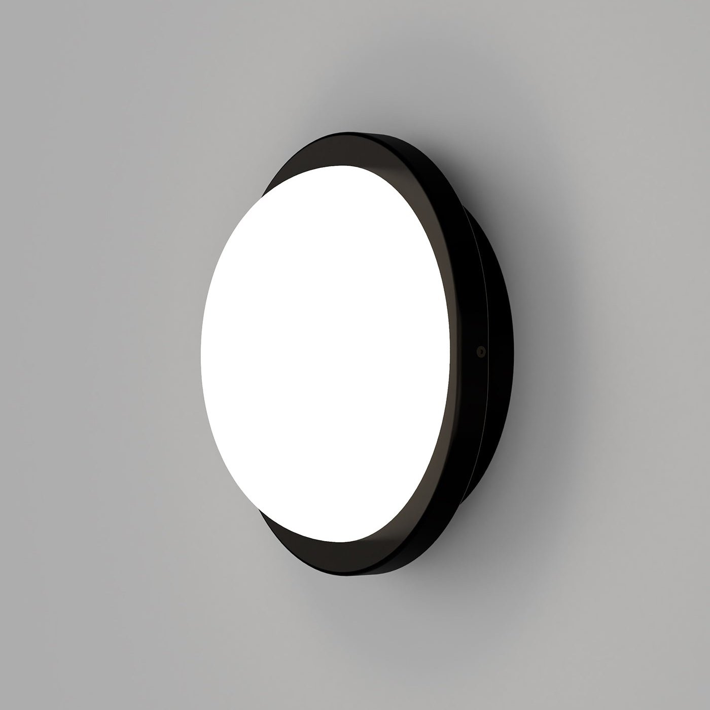 Bode Round Wall/Ceiling Light