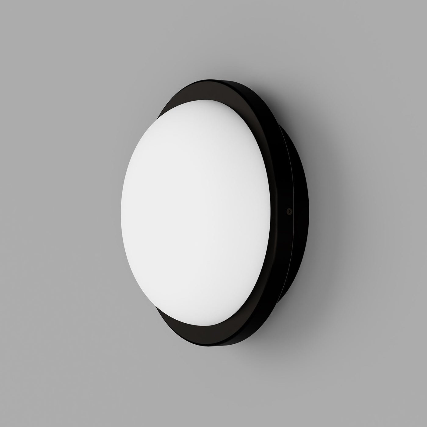 Bode Round Wall/Ceiling Light