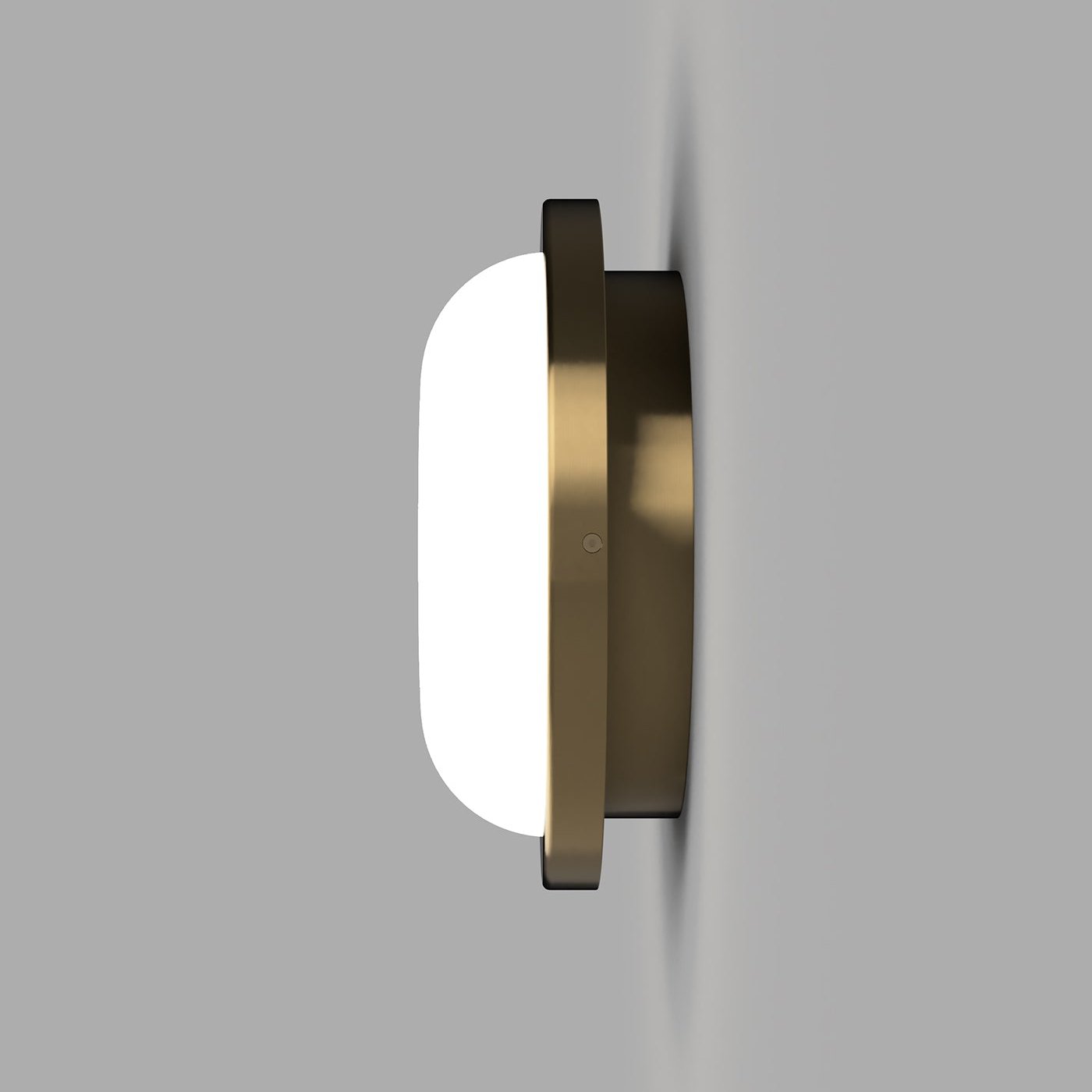 Bode Round Wall/Ceiling Light