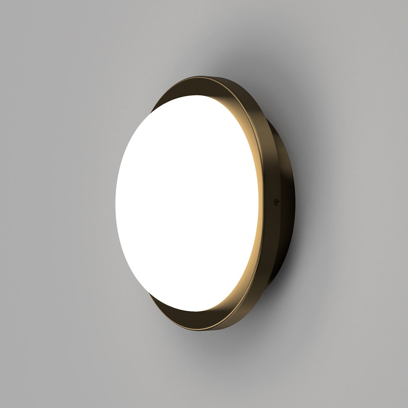 Bode Round Wall/Ceiling Light