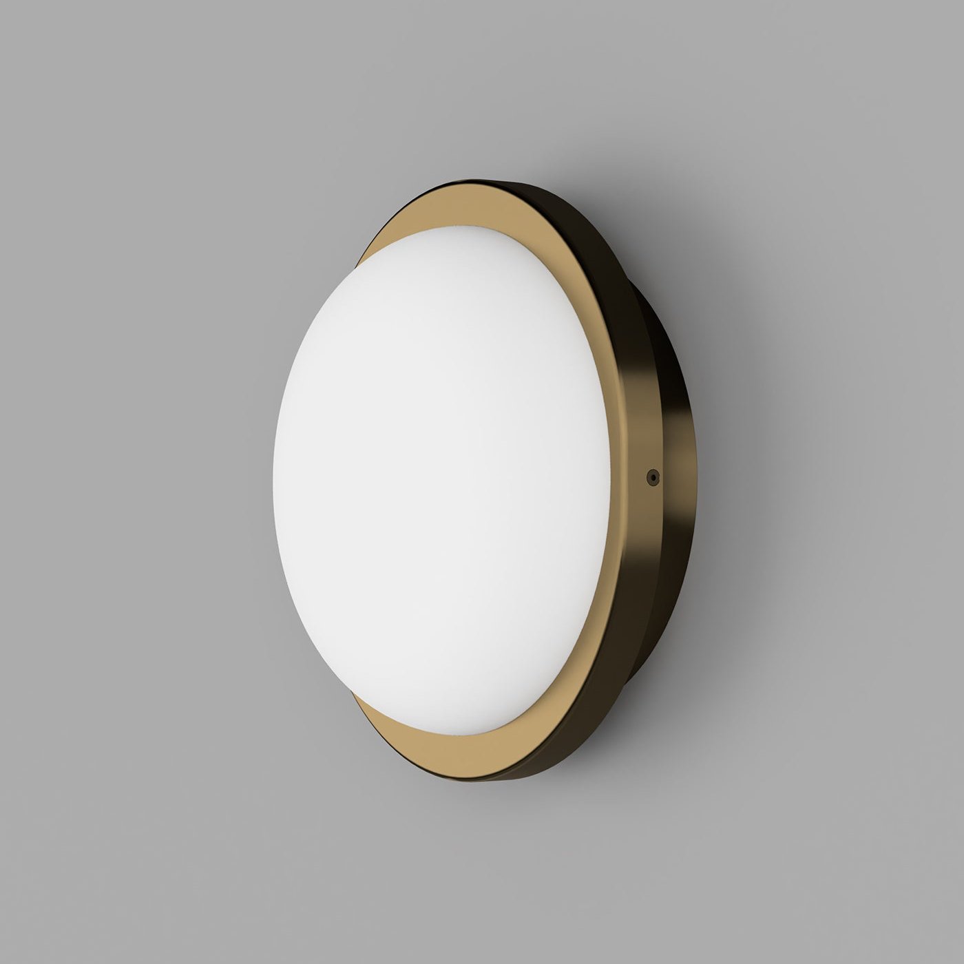 Bode Round Wall/Ceiling Light