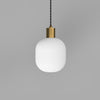 Parlour Curve Pendant Light