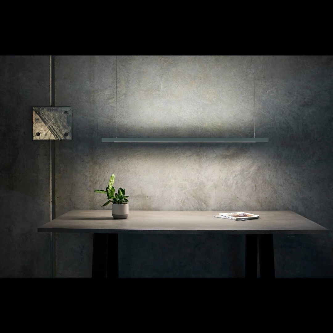 Modern kitchen with a potted plant on a counter and a light fixture above.