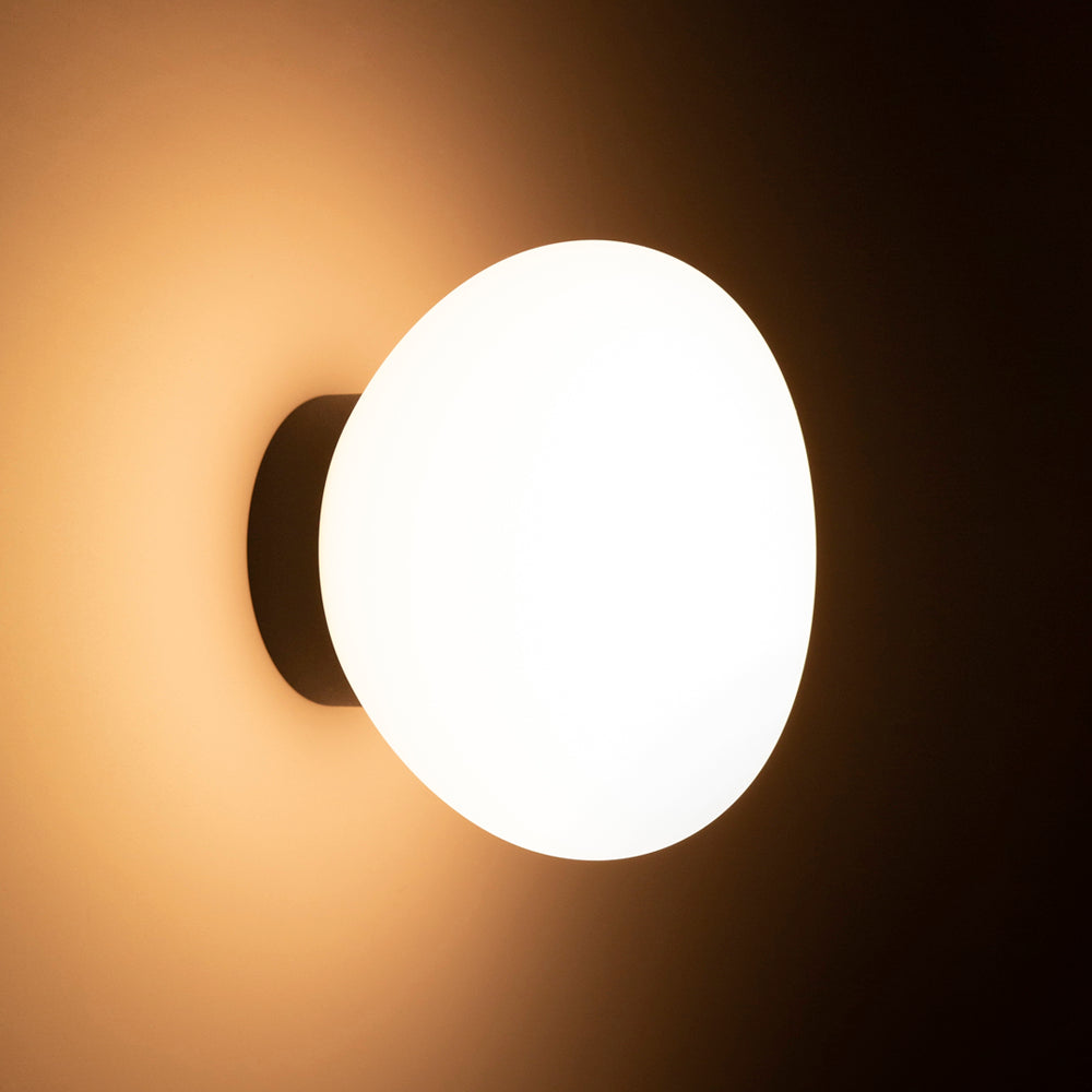 Egg Wall / Ceiling Light